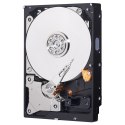 Dysk HDD WD Blue WD10EZEX (1 TB ; 3.5"; 64 MB; 7200 obr/min)