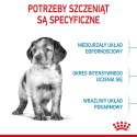 ROYAL CANIN SHN Medium Puppy - sucha karma dla szczeniąt - 15 kg