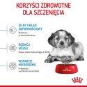 ROYAL CANIN SHN Medium Puppy - sucha karma dla szczeniąt - 4kg