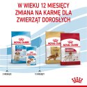 ROYAL CANIN SHN Medium Puppy - sucha karma dla szczeniąt - 4kg