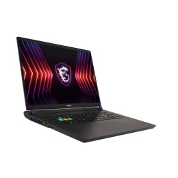 MSI Vector 17 HX A14VGG-221PL Intel® Core™ i9 i9-14900HX Laptop 43,2 cm (17