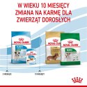 ROYAL CANIN Puppy Mini SHN - sucha karma dla szczeniąt - 8 kg