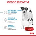 ROYAL CANIN SHN Mini Starter Mother & Babydog - sucha karma dla psa - 4 kg