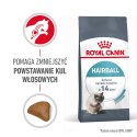 ROYAL CANIN FCN Hairball Care - sucha karma dla kota dorosłego - 10 kg