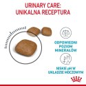 ROYAL CANIN FCN Urinary Care - sucha karma dla kota dorosłego - 10 kg