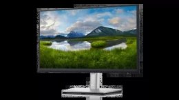 Monitor Dell P2222H - 22'' | Full HD | IPS | 60Hz