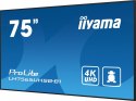 IIYAMA Monitor 75 cali LH7565UHSB-B1, 24/7, IPS, ANDROID 11, 4K, 800cd, iiSignage2, SDM, 2x HDMI, DP, 2x USB,2x 10W, RJ45, WiFi, 4/32GB