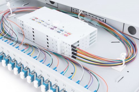 Digitus Przełącznica światłowodowa/panel krosowy z wyposażeniem 19 cali 1U, 24x LC duplex, OS2, zawiera pigtaile, adaptery, tacki, wysuw