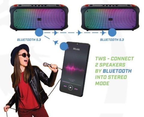 Rebeltec Głośnik Bluetooth FM/USB SoundBox 650