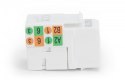 Digitus Moduł Keystone RJ45 kat.6 UTP LSA