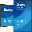 IIYAMA Monitor 43 cale LH4364UHS-B1AG 24/7,VA,ANDROID14,4K,500cd,4000:1,2xHDMI,USB-C,RJ45, RS-232c, IR, 2x10W, 2xUSB, UCHWYT ŚCIENNY