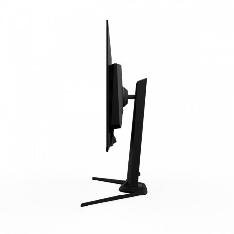 Gigabyte Monitor 31.5 cala FO32U2 OLED UHD 240HZ