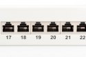 Digitus Patch panel 19" 24 porty, kat.6, S/FTP, 1U, wspornik kablowy, szary (kompletny)
