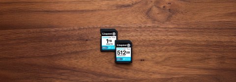 Karta pamięci Kingston Canvas Go Plus SDG4/512GB (512GB; Class U3, V30; Karta pamięci)