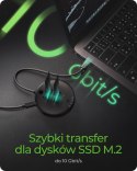 IcyBox Stacja klonująca+dockująca dla 2xNVMe M.2SSD IB-1612MCL-C31