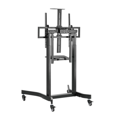 GEMBIRD STOJAK POD TELEWIZOR REGULACJĄ WYSOKOŚCI MOBILNY, NA KÓŁKACH, 55"-100"