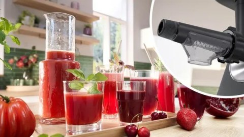 Maszynka do mielenia BOSCH MFW S650B