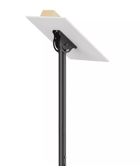 Neomounts Uchwyt sufitowy CL35-340BL12 23-42 cali