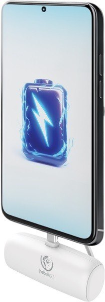 Rebeltec Powerbank P5 PLUG-IN (5 000mAh 10W) bezpośrednie podpięcie do telefonu za pomocą złącza USB-C
