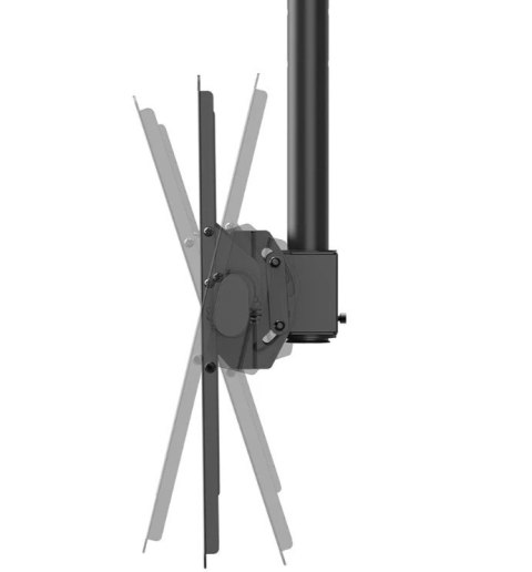 Neomounts Uchwyt do monitora/TV CL35-440BL16L 37-70 cali 50kg