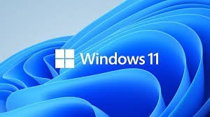 Microsoft OEM Win Pro for Wrkstns 11 PL x64 HZV-00117