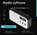 Adler Radio cyfrowe PLL AD1907
