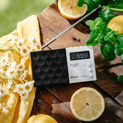 Adler Radio cyfrowe PLL AD1908