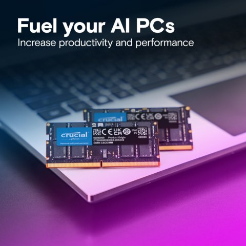 Crucial Pamięć do notebooka DDR5 CSODIMM 24GB (1*24GB)/6400 CL52