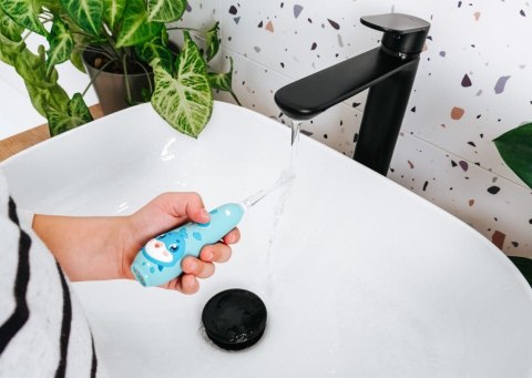 Concept Szczoteczka soniczna Baby KIDO SMILE 1-5 lat niebieska ZK3020