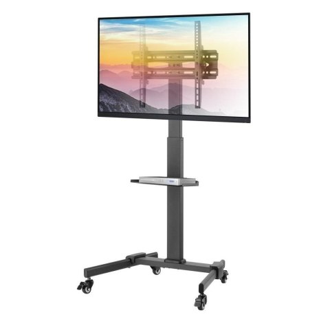 Uchwyt do TV TECHLY 365252 (nośność 35kg /32 - 55 cali)