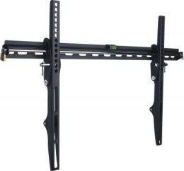 Uchwyt do TV TECHLY ICA-PLB-133LTY (nośność 50kg /40 - 65 cali)