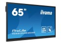 IIYAMA Monitor 65 cali TE6512MIS-B4AG 40pkt,IPS,4K,24/7,7H, ANDROID 14, RK3576, 8/128GB, EDLA, Essential