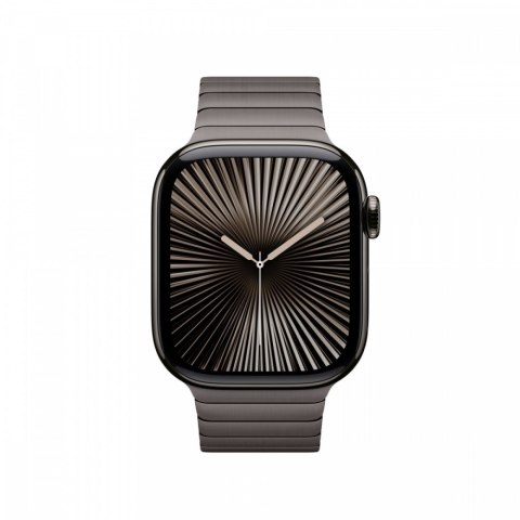 Apple Bransoleta panelowa w kolorze łupku do koperty 42 mm