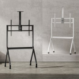 Maclean Stojak do TV na kółkach MC-114W