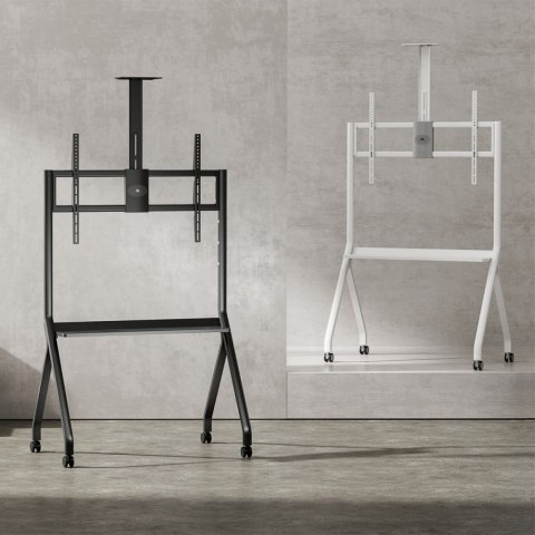 Maclean Stojak do TV na kółkach MC-114W