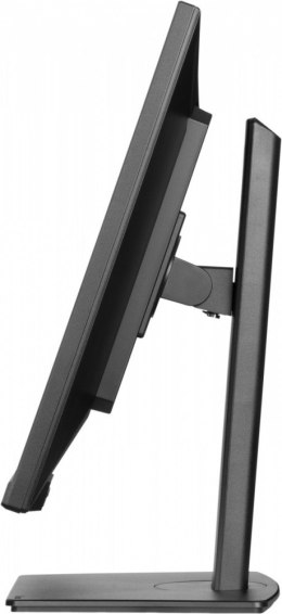 IIYAMA Monitor 32 cale XUB3297QSNP-B1 IPS,QHD,USB-C DOCK (95W), USB HUB 4x, KVM, RJ45