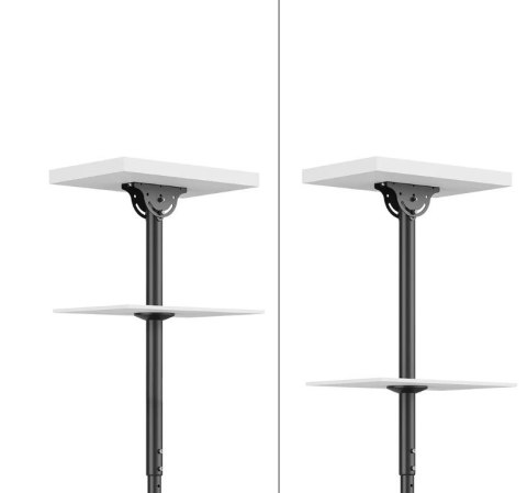 Neomounts Uchwyt do TV/LCD CL35-340BL22 23-42 cale 45kg