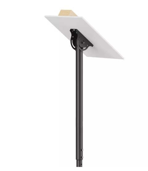 Neomounts Uchwyt do TV/LCD CL35-340BL22 23-42 cale 45kg