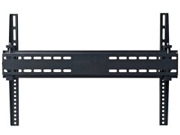 TRACER UCHWYT ŚCIENNY EASYTILT