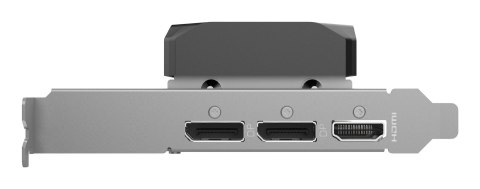 Karta graficzna ZOTAC GAMING GeForce RTX 5060 LP 8GB