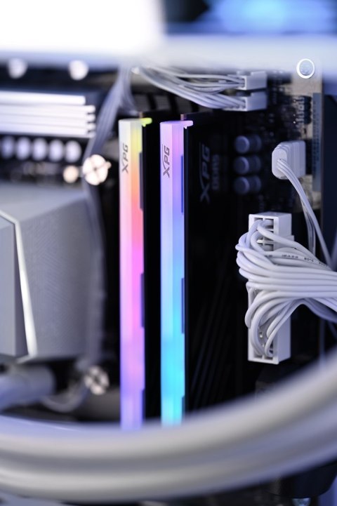 Actina SELECTION 265KF/32GB/1TB/RTX5070/750W