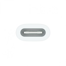 Apple Adapter USB-C na Pencil