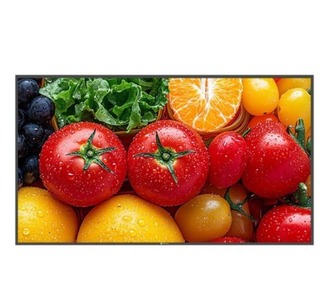 AG NEOVO Monitor wielkoformatowy QM-5503 CZARNY 500cd/m2 5000:1 24/7 4K