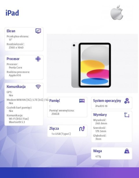 Apple IPad WiFi 11 cali 256GB Srebrny