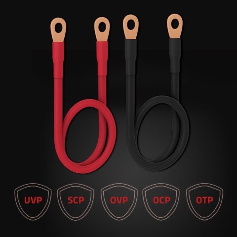 Qoltec Inteligentna ładowarka do akumulatorów LiFePO4 AGM GEL SLA | 80A | 12V