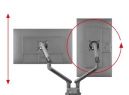 One For All DM7210 Uniwersalny uchwyt do monitora ARM, DESIGN, SMART, DUAL, czarny, 2x 13''-35'' 9kg