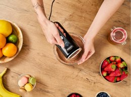 Lafe Mikser ręczny MixPro