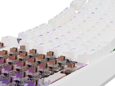 GENESIS Thor 230 TKL klawiatura USB + RF QWERTY