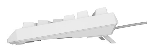 Klawiatura GENESIS Thor 230 TKL Gaming USB QWERTY US English Biały