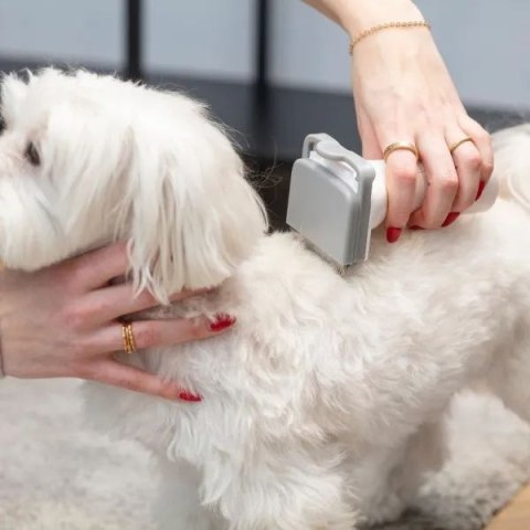 Urządzenie do domowej pielęgnacji psów i kotów MPM MOD-1000